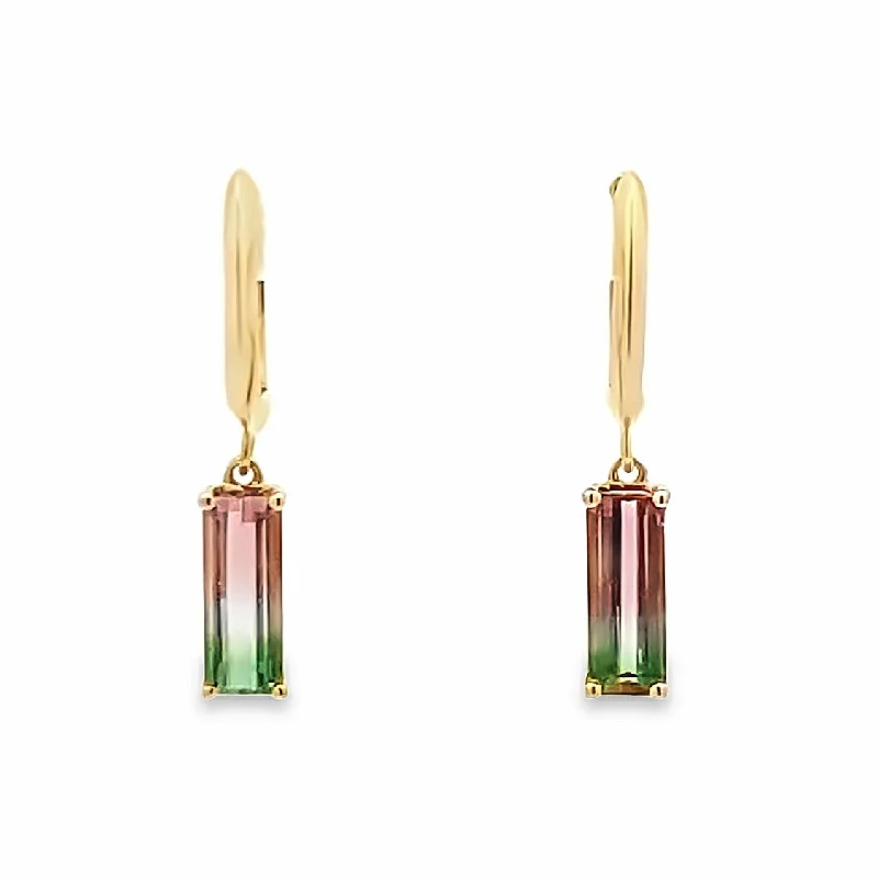 Hoop earrings for bridesmaids-Bi-Tourmaline Drop Earrings in Yellow Gold by Parle